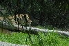 Visit to San Diego Zoo facilities