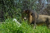 Visit to San Diego Zoo facilities