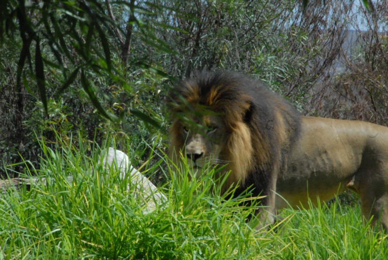 Visit to San Diego Zoo facilities