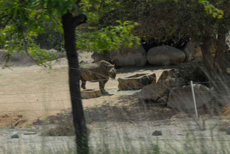 Visit to San Diego Zoo facilities