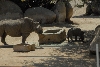 Visit to San Diego Zoo facilities