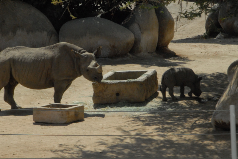Visit to San Diego Zoo facilities