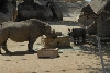 Visit to San Diego Zoo facilities