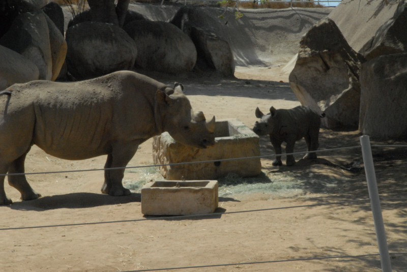 Visit to San Diego Zoo facilities