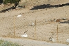 Visit to San Diego Zoo facilities