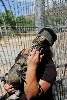 Visit to San Diego Zoo facilities