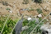 Visit to San Diego Zoo facilities