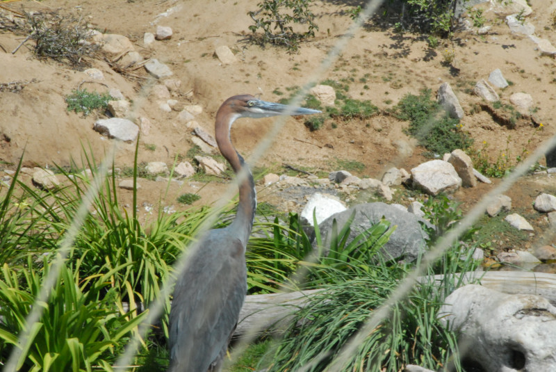 Visit to San Diego Zoo facilities
