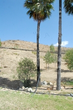 Visit to San Diego Zoo facilities