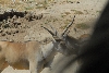 Visit to San Diego Zoo facilities