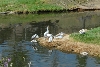 Visit to San Diego Zoo facilities