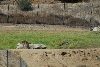 Visit to San Diego Zoo facilities