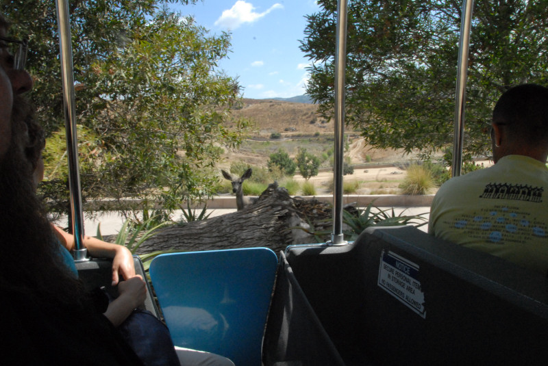 Visit to San Diego Zoo facilities