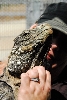 Visit to San Diego Zoo facilities