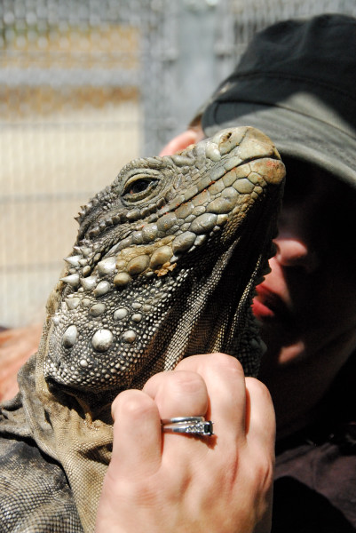 Visit to San Diego Zoo facilities