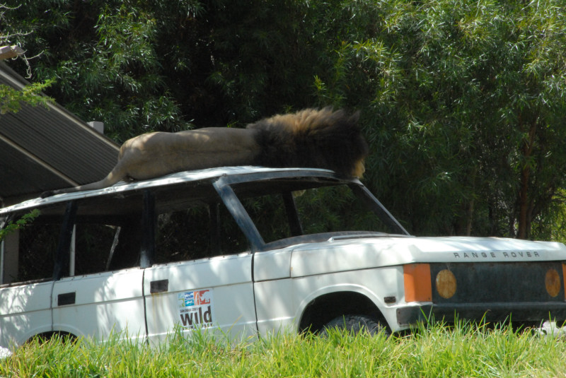 Visit to San Diego Zoo facilities