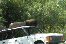 Visit to San Diego Zoo facilities