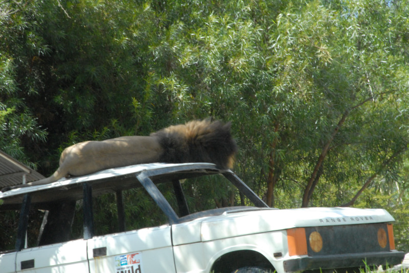 Visit to San Diego Zoo facilities