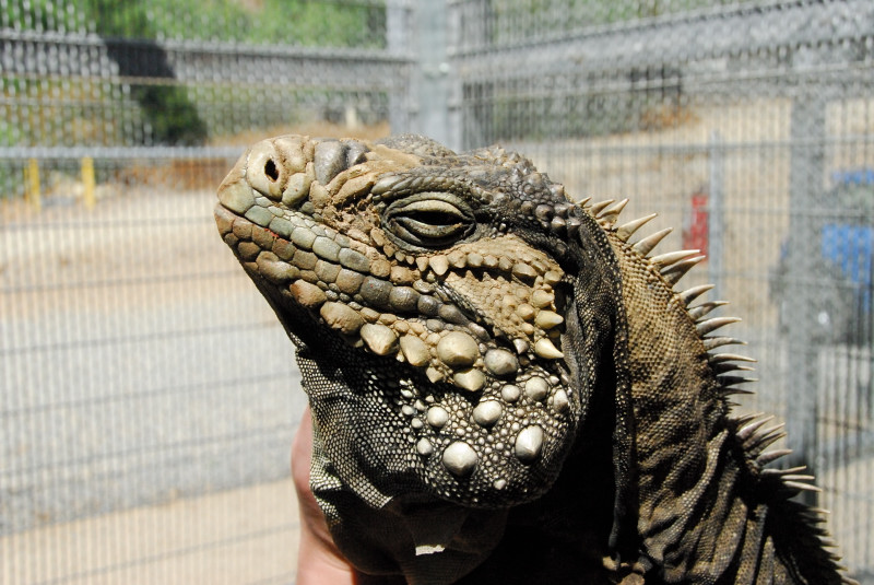 Visit to San Diego Zoo facilities