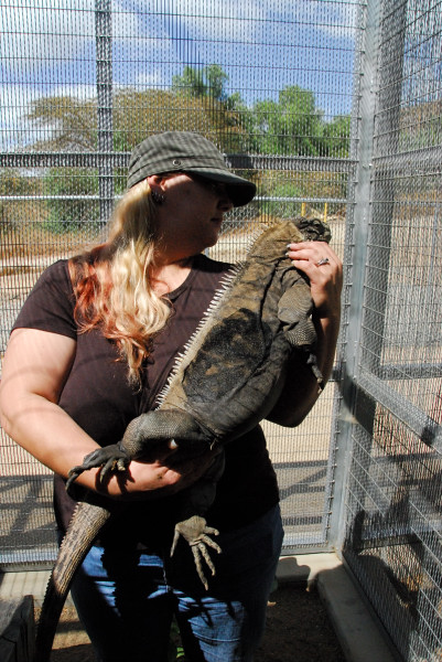 Visit to San Diego Zoo facilities