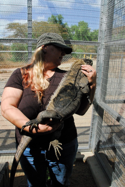 Visit to San Diego Zoo facilities