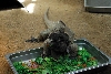 Visit to San Diego Zoo facilities