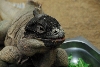 Visit to San Diego Zoo facilities