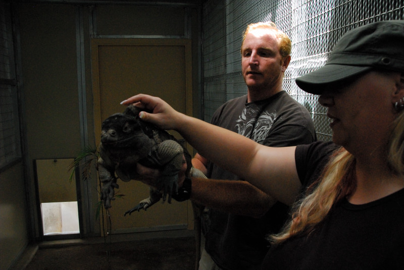 Visit to San Diego Zoo facilities