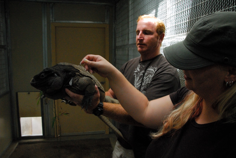 Visit to San Diego Zoo facilities