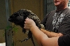 Visit to San Diego Zoo facilities