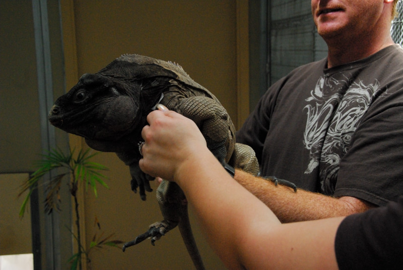 Visit to San Diego Zoo facilities