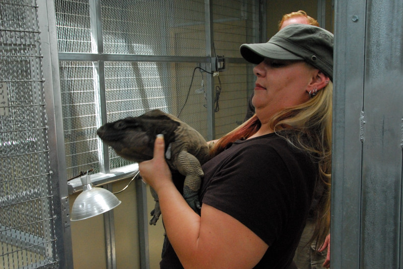 Visit to San Diego Zoo facilities