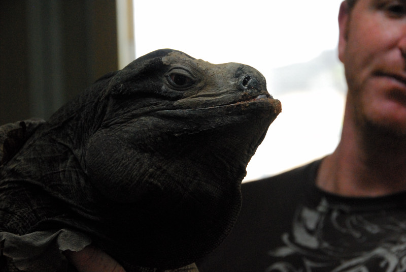 Visit to San Diego Zoo facilities