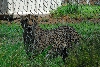 Visit to San Diego Zoo facilities