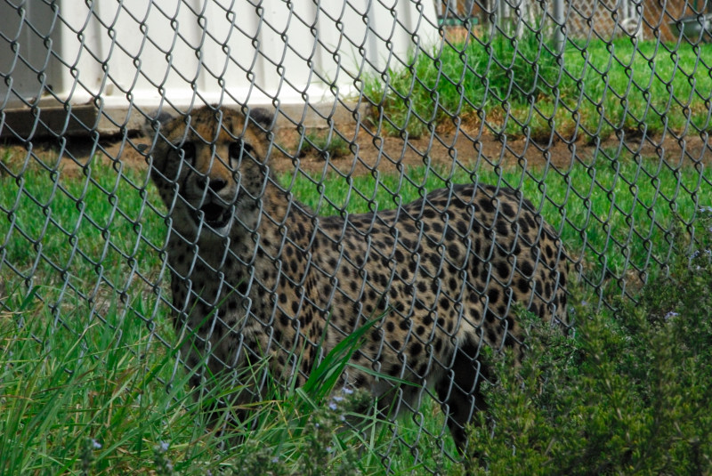 Visit to San Diego Zoo facilities