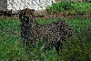 Visit to San Diego Zoo facilities