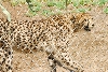 Visit to San Diego Zoo facilities