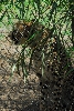 Visit to San Diego Zoo facilities