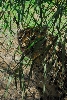 Visit to San Diego Zoo facilities