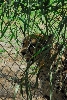 Visit to San Diego Zoo facilities