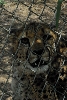 Visit to San Diego Zoo facilities