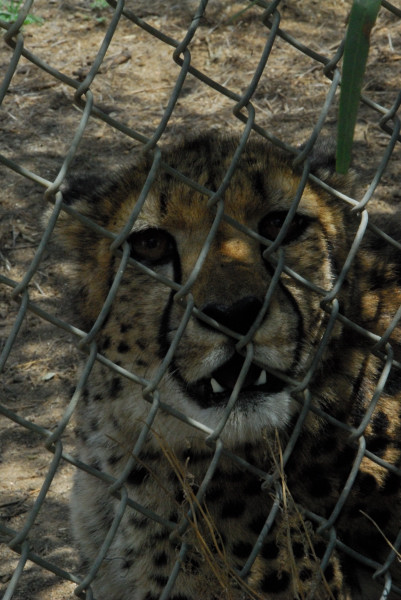 Visit to San Diego Zoo facilities