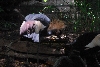 Visit to San Diego Zoo facilities