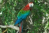 Visit to San Diego Zoo facilities
