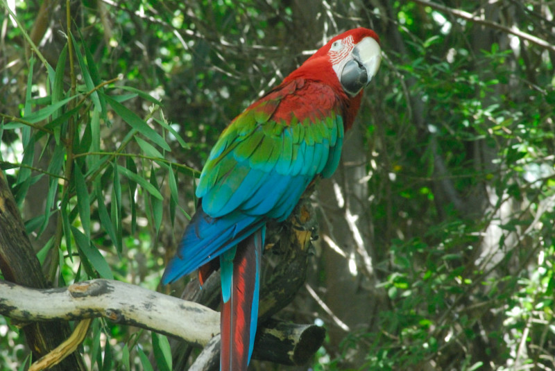 Visit to San Diego Zoo facilities