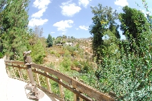 Visit to San Diego Zoo facilities