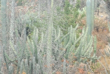 Visit to San Diego Zoo facilities