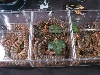 Fall 2010 show