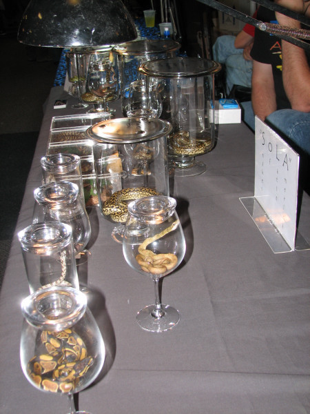 Fall 2010 show