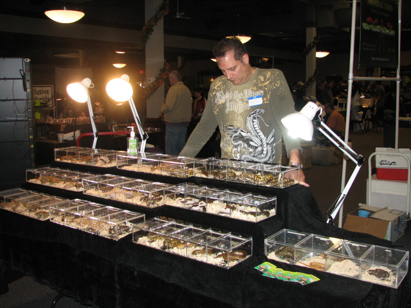 Fall 2010 show